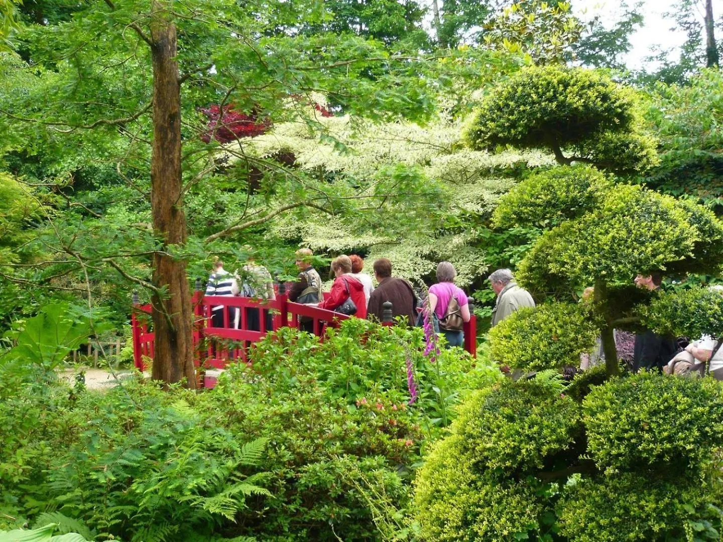 Bed & Breakfast Le Rok Bed and Breakfast Billé
